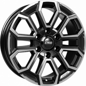 CMS C35
