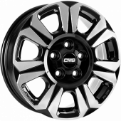 CMS C31