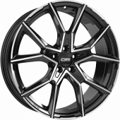 CMS C33