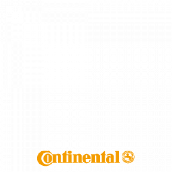 CONTINENTAL WINTERCONTACT TS 860 S FRIKTIONSDÄCK