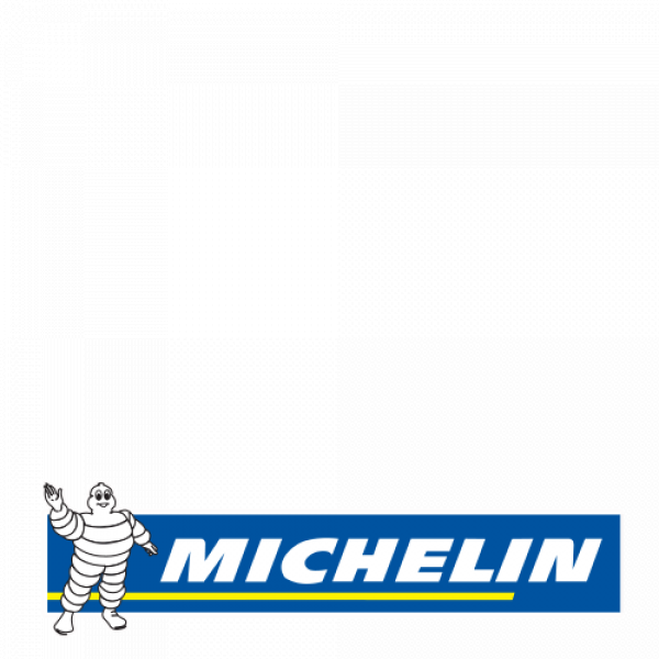 MICHELIN PRIMACY 5 ENERGY SOMMARDÄCK
