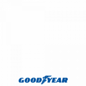 GOODYEAR EFFICIENTGRIP CARGO 2